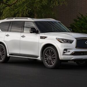 white Infiniti QX80 2023